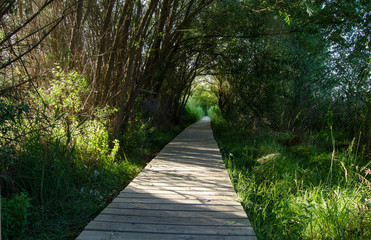 Laguna de Padul (Granada) España