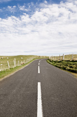 Fototapeta premium Countryside road in Northern Ireland