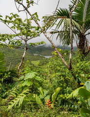  Freshwater Lake Views around the caribbean island of Dominica West indies