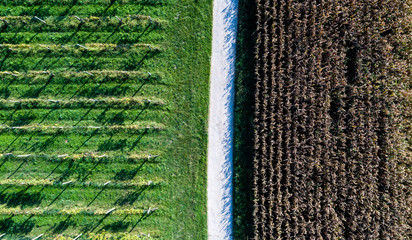 Drone aerial view of a country field