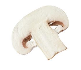 Piece of fresh mushroom on white background