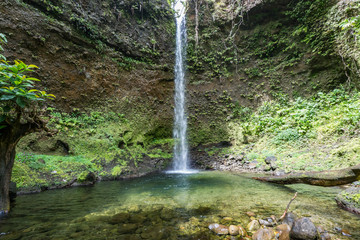  Emerlad Pool and Waterfall Views around the caribbean island of Dominica West indies