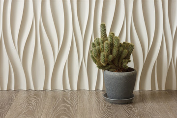 Cactus plant in a grey pot on the background of a relief 3d panels. Copy space.