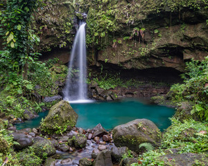 Fototapeta na wymiar Emerlad Pool and Waterfall Views around the caribbean island of Dominica West indies