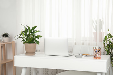 Fototapeta na wymiar Houseplants and laptop on table in office interior