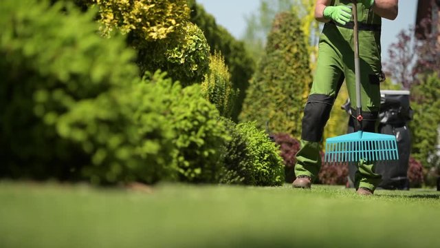 Caucasian Gardener Raking Grass in a Backyard Garden. Spring Time Maintenance