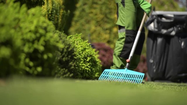 Professional Gardener Raking Grass in a Backyard Garden. Garden Maintenance
