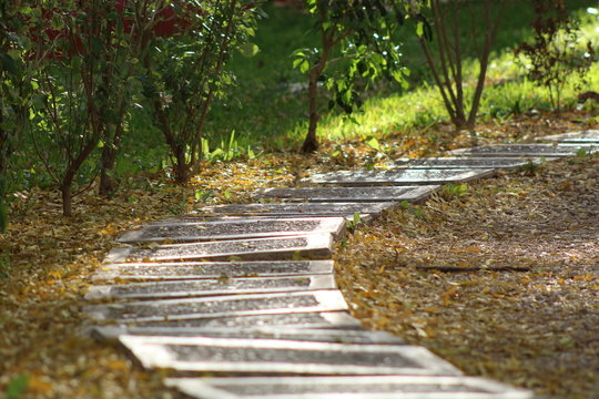 Camino a lo natural