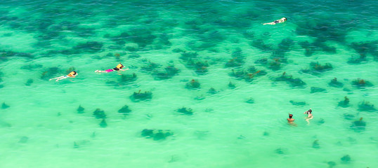 Aerial view of tourists snorkelling in a tropical sea.