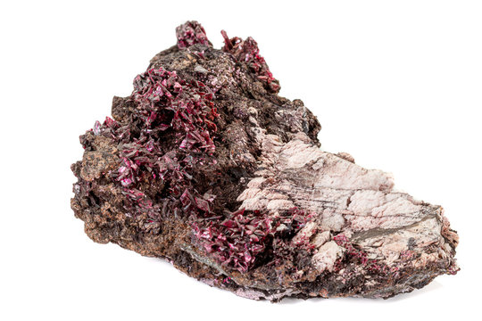 Macro stone Erythrite mineral on white background