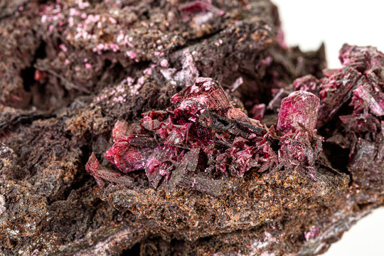 Macro stone Erythrite mineral on white background