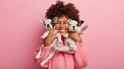 Photo of joyful dark skinned lady with Afro haircut, feels fun, carries two little french bulldog...