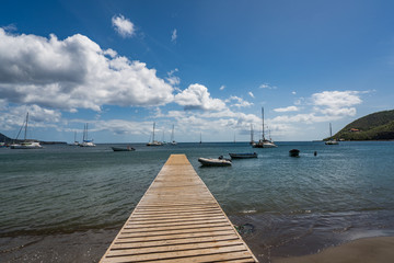 Obraz premium Purple Turtle Beach Views around the caribbean island of Dominica West indies