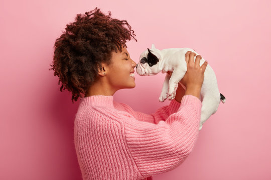 Sideways shot of glad Afro American dog hostess touches noses with small cute puppy, being in playful mood, wears casual oversized pink sweater in one tone with background, chills at studio.