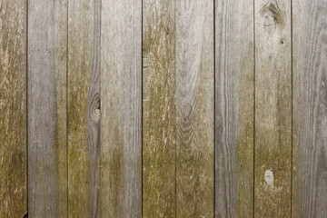 The texture of old wooden boards. Close-up, Background