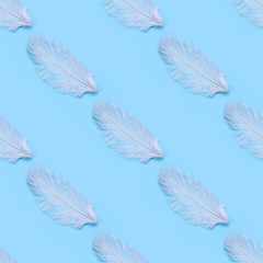 Seamless pattern of white swan feathers on a blue background