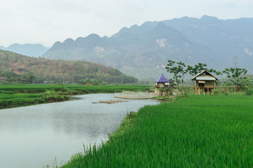 Fototapeta na wymiar Beautiful landscape in Mai Chau, Vietnam, Southeast Asia