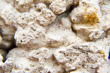 Background wall from close range