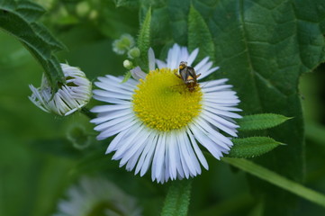 Obraz premium Путешествие