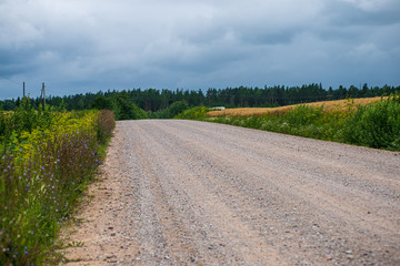 simple countryside dirt road in spring