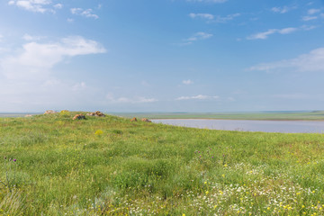 Crimea nature reserve - the road to traveln