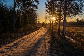 simple countryside dirt road in spring