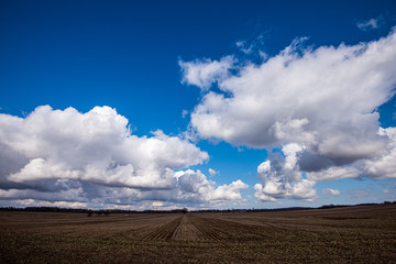 countryside landscape under blue sky and dramatic white clouds