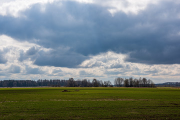 countryside landscape under blue sky and dramatic white clouds