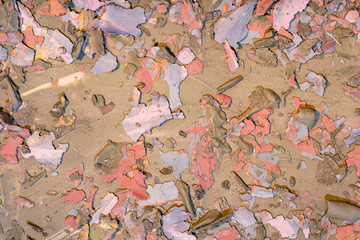 Old paint- texture abstract