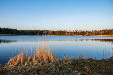spring by the lake with green foliage grass in meadow and blue water