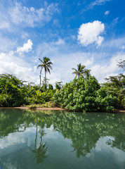 Obraz premium Views around the caribbean island of Dominica West indies
