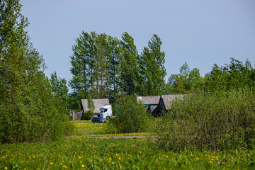 green countryside scenery with green meadows and trees in summer