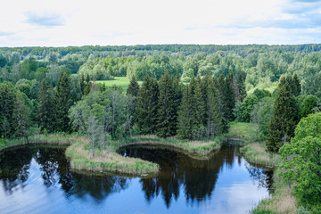 Obraz premium spring by the lake with green foliage grass in meadow and blue water