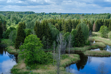 spring by the lake with green foliage grass in meadow and blue water