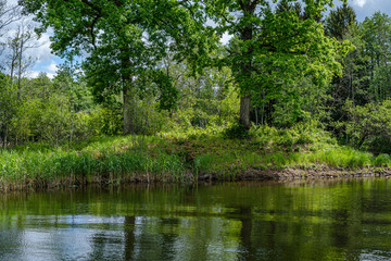 green countryside scenery with green meadows and trees in summer