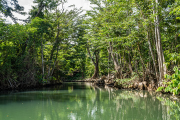  Views around the caribbean island of Dominica West indies