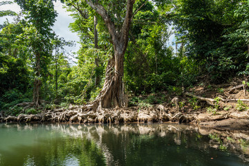  Views around the caribbean island of Dominica West indies