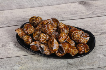 Tasty mollusk - spotted Babylon in the bowl