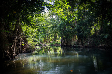  Views around the caribbean island of Dominica West indies