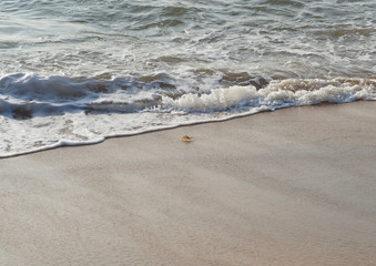Sunny sandy coast on the ocean on the southern tropical island of Sri Lanka.