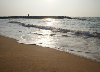 Sunny sandy coast on the ocean on the southern tropical island of Sri Lanka.