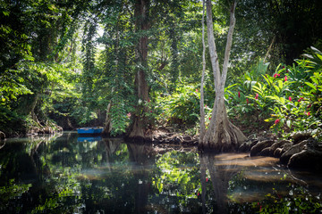 Obraz premium Views around the caribbean island of Dominica West indies