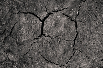 Dry Cracked Earth