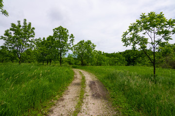Dirt road through the countryside