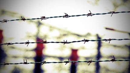 barbed wire and out of focus background