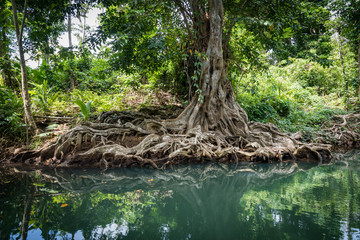 Views around the caribbean island of Dominica West indies