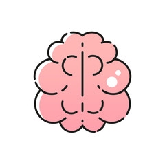 Left And Right Hemisphere Of Human Brain