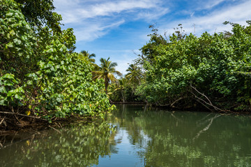  Views around the caribbean island of Dominica West indies