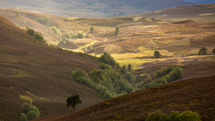 Scottish highlands have one of the most beautiful view in the world. When the weather is ok, one can have really interesting hikes in the mountains.