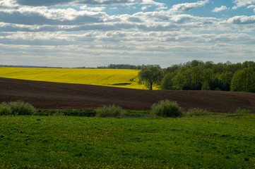 Agricultural landscape with rolling hills